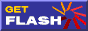 install flash 5